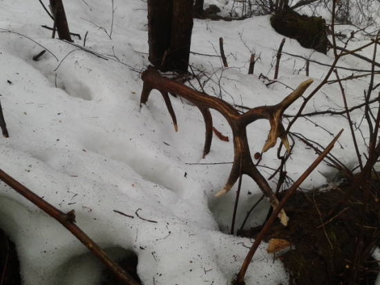 Až mi srdiečko podskočilo... :D