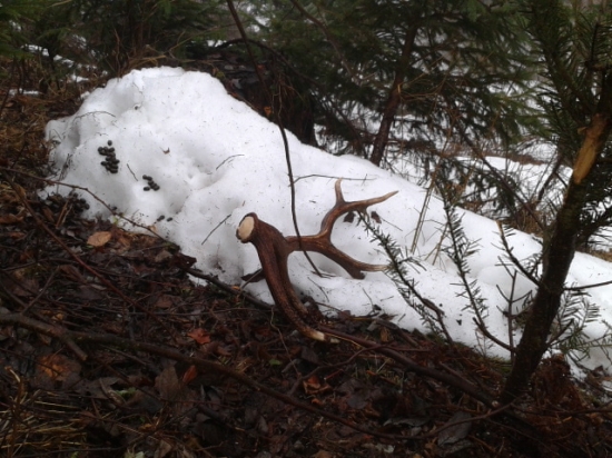 Po stopách 16 toráka :)