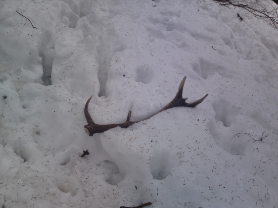 Prvý pocit je najkrajší..