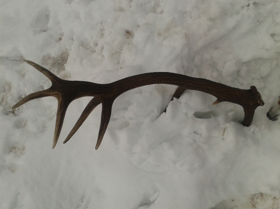 Koľko bodov mu dáte??