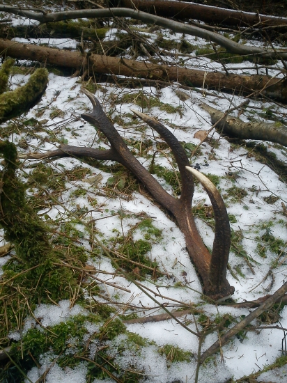 Poď k tatínkovi.. :)