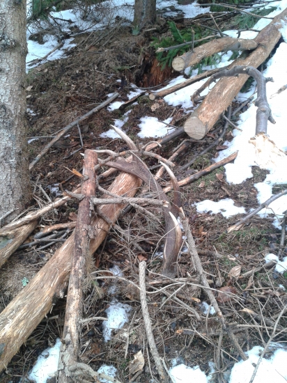 Dorastenecký mladík.. :)