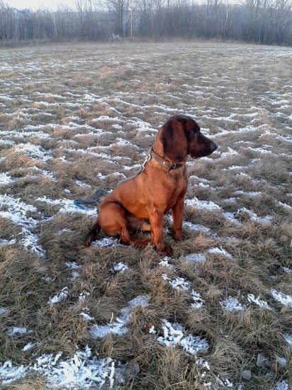 môj najkrajší synáčik.. :) Farbiarom Zdar..