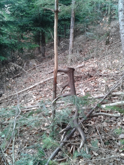 Moment, keď srdce bije o život.. :D