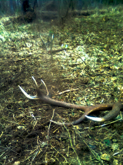 Neopísateľný pocit... prví pohľad