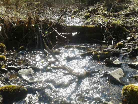 Pod slnečnými lúčmi