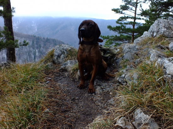 Po dlhej pauze znova vo svojom živle