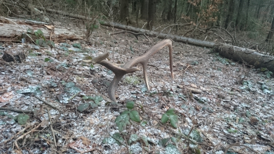 Sen každého zhodára...