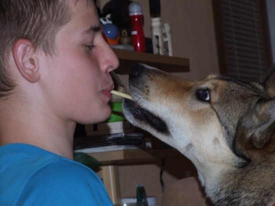 Boj o veľkonočný korbačik !