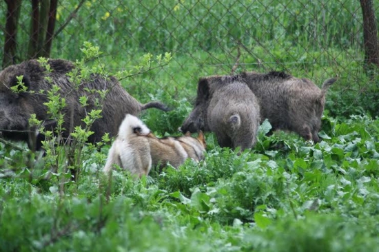 Dnes tu velím ja ! :)