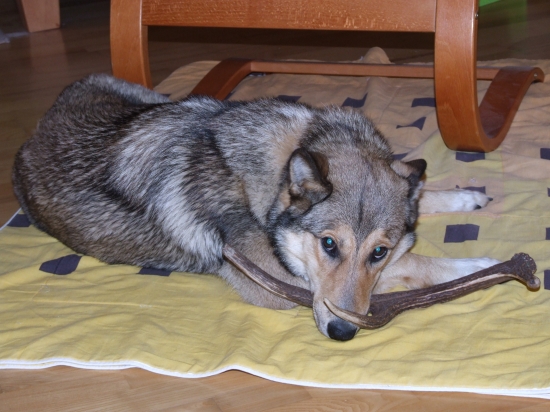 Moja včerajšia korisť