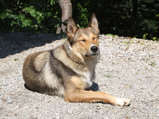 prineste mi slnečné okuliare