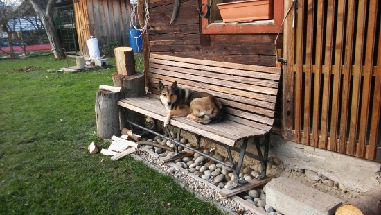 Relax po včerajšej dohladávke.