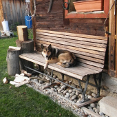 Relax po včerajšej dohladávke.