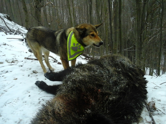 Skús  mi to zobrať !