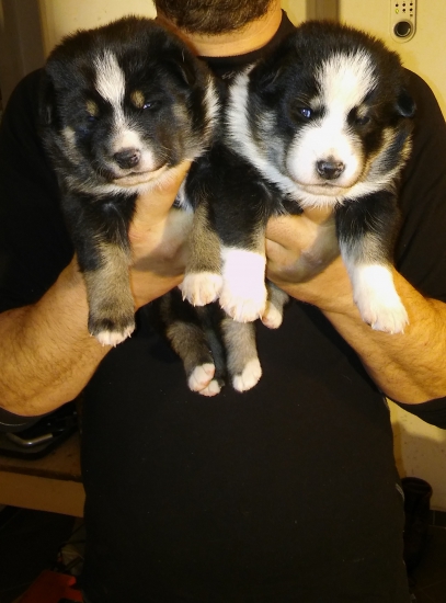 Baby z Fatranského jasu