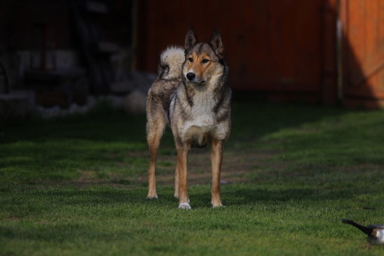 Pomohlo mi materstvo ?