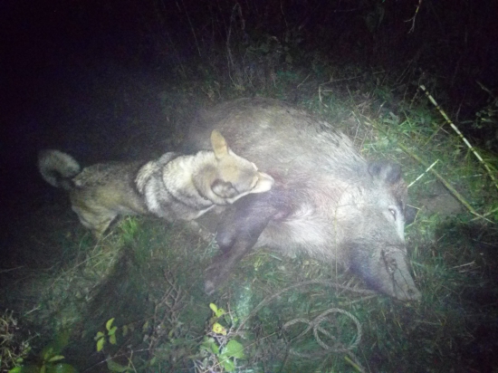 Boj do poslednej sekundy