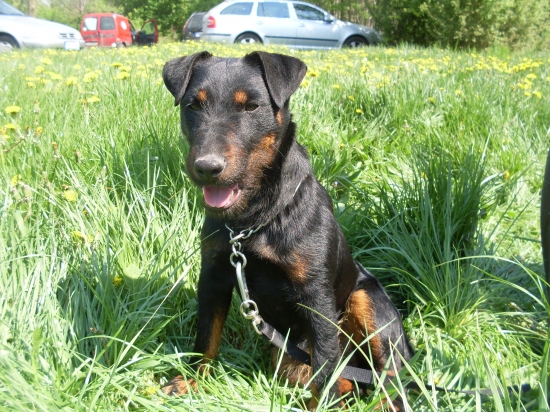 Ira Komjaticke jazero SH 1.cena Mostova