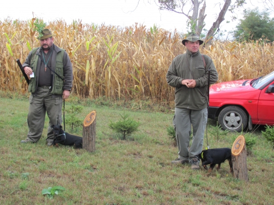 IRA Komnaticke Jazero,FSMP-1cena