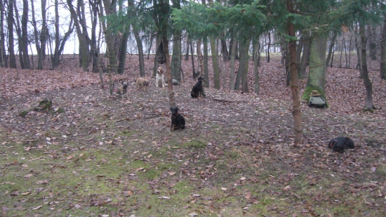 Dnes si to zasluzia.