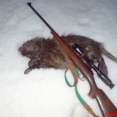 Moja prva Nutria riečna