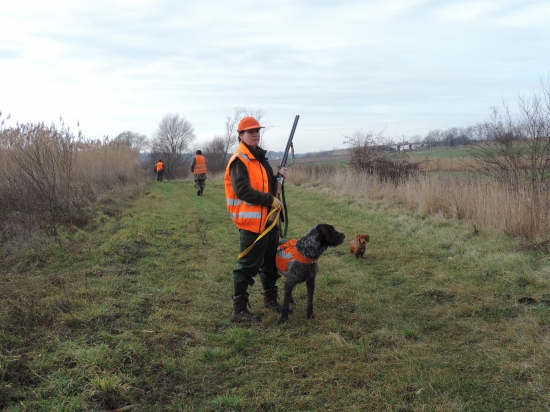 Ćakanie na kohutika
