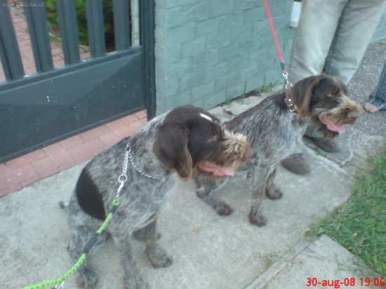 ako by ich jedna mater mala