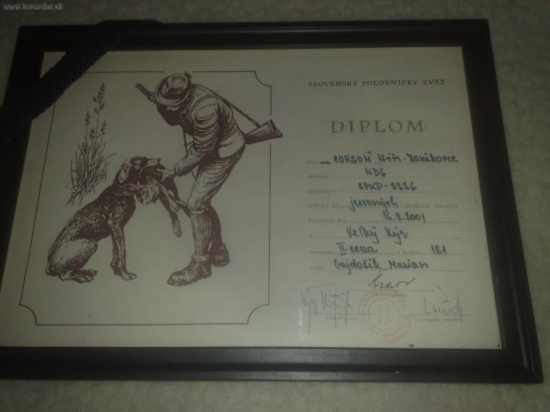 toto my zostalo po CORGOŇOVI