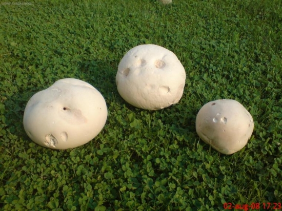 Rano z posedu takýto nalez