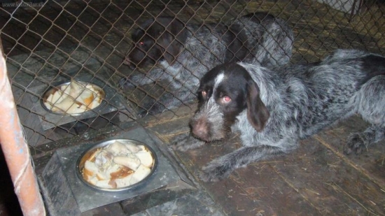 aj večera ma svoj rituál...