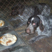 aj večera ma svoj rituál...