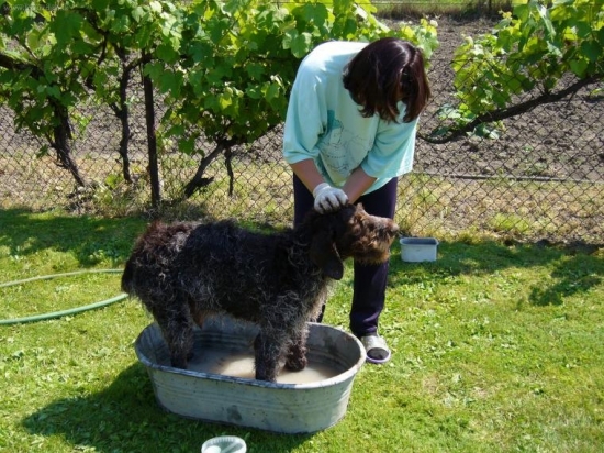 jemnu masaž prosim...