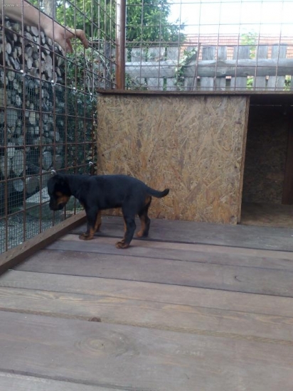 IRA Komjaticke jazero moj novy domov.