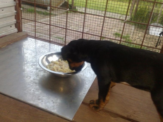 IRA Komjaticke jazero môj prvy obed