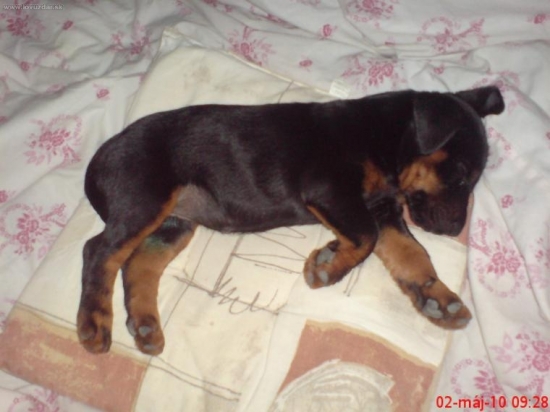 Ira K. J. je mi dobre