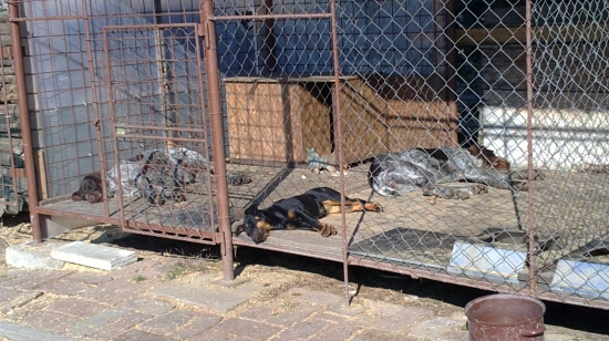 Uživame si posledné luče