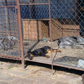 Uživame si posledné luče