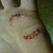 Takto dopadnete ked mate psov ako britva.