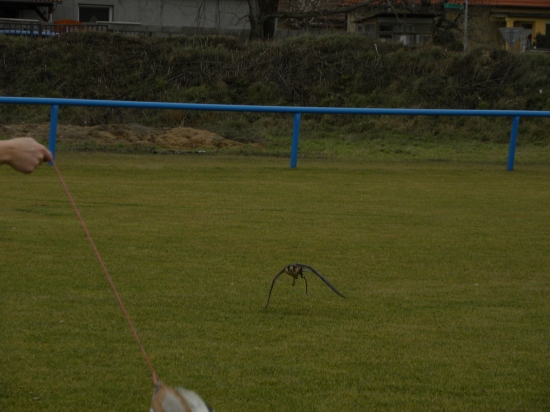 prvi krat na vabitko