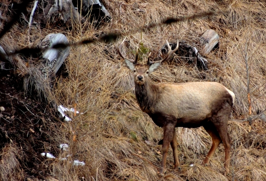 ktovie kde to zhodil