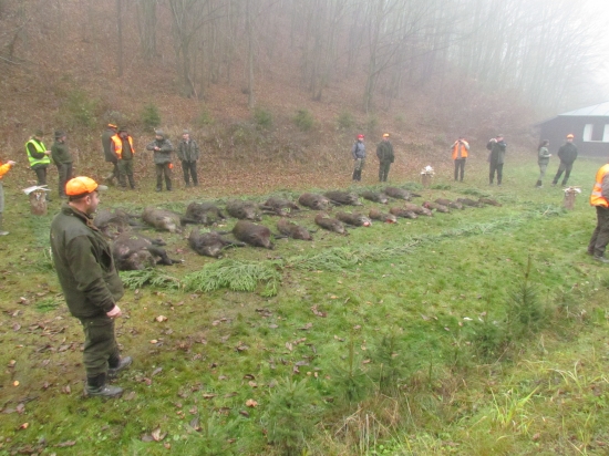 Predčasne ukončená hosťovská