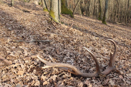 Víkendových 202,69 CIC