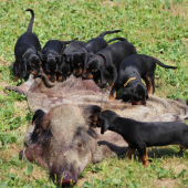 Môj mančaft pri výcviku.