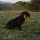 Malá Cora zo Slovenskej Ľupče