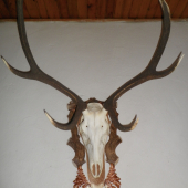 úhyn