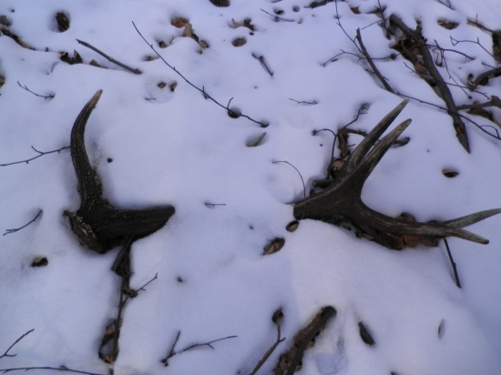 zas nieco z mojej galerie