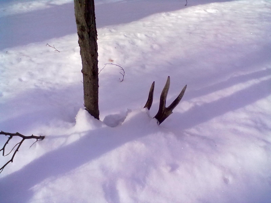 najkrajsi je prvy pohlad