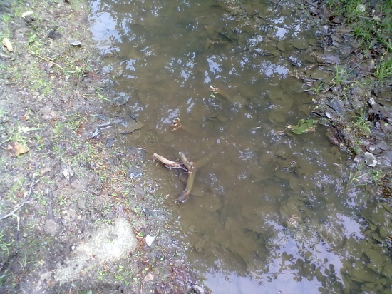 aj takto sa da najst