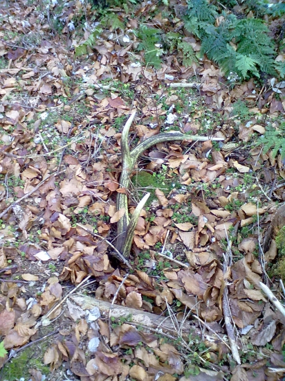 aj na jesen sa da najst